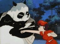 fight8.jpg